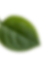 Achtergrond afbeelding